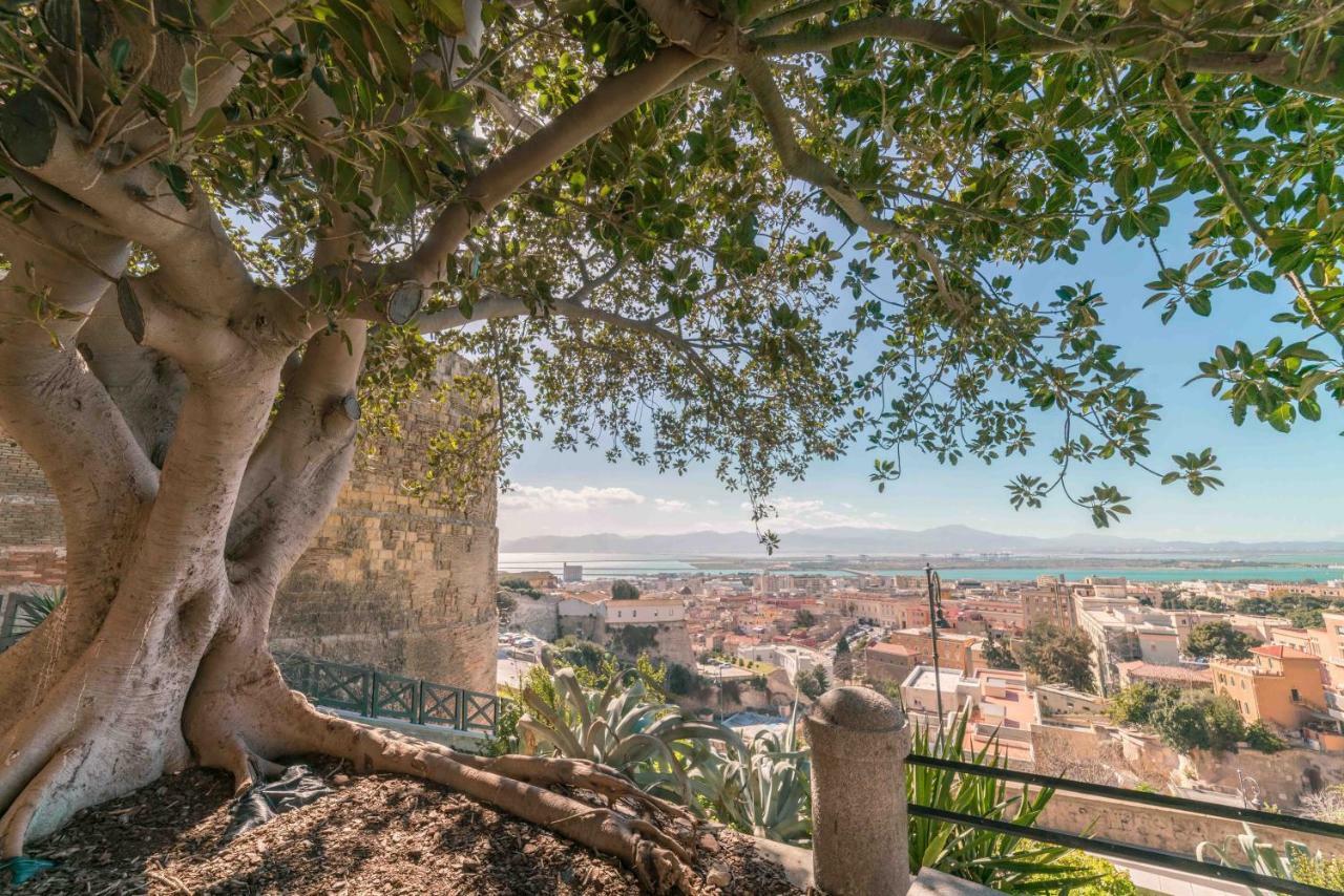 Una Splendida Vista Sulla Cattedrale - Wifi - Ac Cagliari Exteriér fotografie